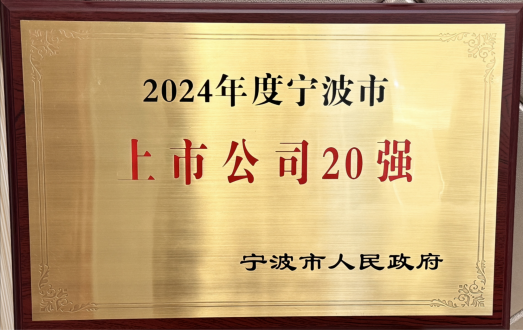 Top 20 Ningbo Listed Companies in 2024
